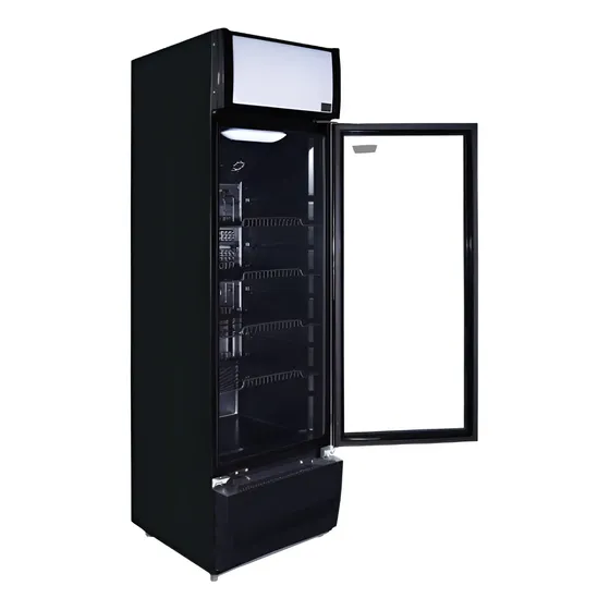 Visicooler 224 Lts Frío Estático Maigas Color Negro